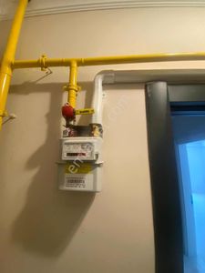 Prestij Gayrimenkulden Okaliptus Sokakta Muhteşem 1+1 Daire