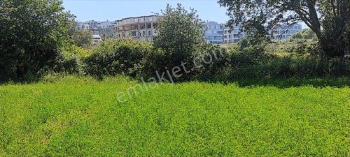 Nilüfer Kayapa Da Kadastro Yoluna Cephe 100 M2 Yatırımlık Arazi