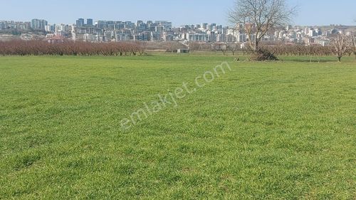 Kayapa Asfalt Yola Bir Parsel Mesafede 1930m2 Satılık Arazi 20/3