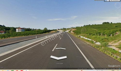 Kaynarca Büyükyanık Mah. 9.641m2 Satılık Fındık Bahçesi