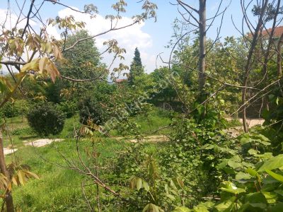 Maşukiye Göl Manzaralı 1000 M2 Arsa 2 Adet Vılla Yapılabilinir