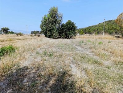 Kaş Palamut Mah. Saklıkent Yolu Üzerinde Satılık 8.544m2 Tarla