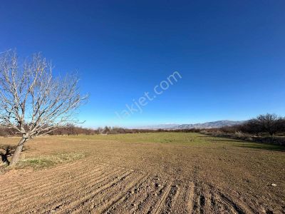 Emlakyap Tan Malatya Akçadağ Da Satılık 14 Dönüm Tarla