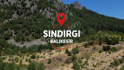 Turyap'tan Sındırgı Asardibi Mevkinde Satılık 3973 M2 Tarla
