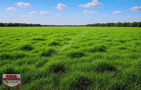 Üçpınar'da Villa İmarlı Alanlara Yakın Satılık Tek Tapu Arazi