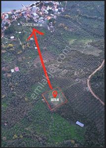 Bursa / Gemlik / Narlı 3.322 M² - 5.000.000 Tl-fiyati Dustu!