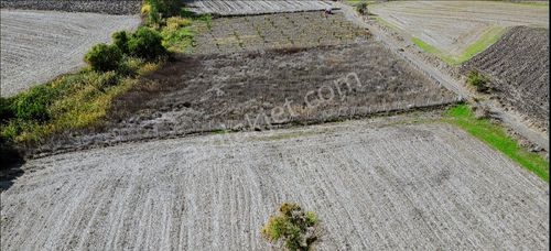 Onvest'ten Kepsut Osmaniye'de Tel Çevrili 3.100 M² Satılık Tarla