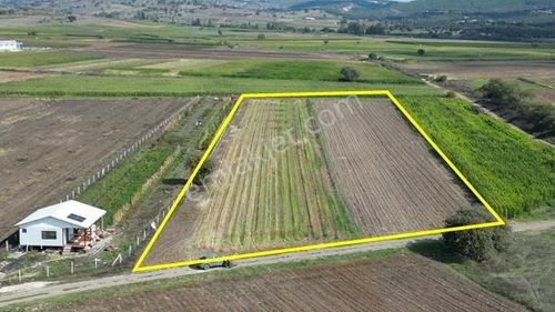 Onvest'ten Balıkesir (ışıklar)kocaavşar'da 4.716m² Satılık Tarla