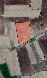 Özbey'den Yatırım Fırsatı Seyitgazi Cevizli 4 Dönüm Çeşme Yanı