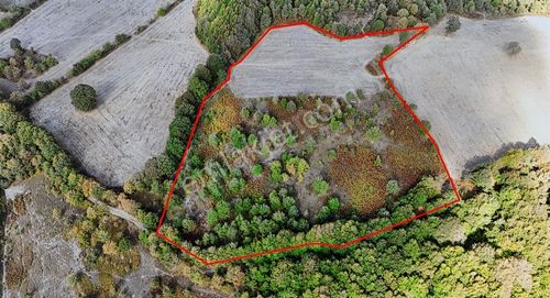 Çanakkale Yenice Tabanköy'de Fırsat Arazi