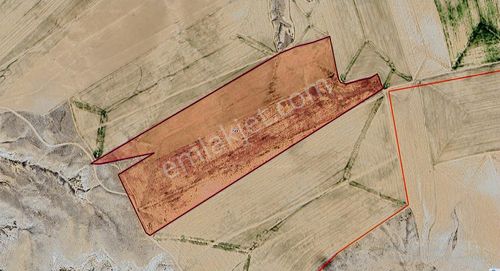 Emirgazi Besci'de 174 Dekar Fırsat Düz Tarla