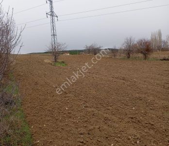 Başarakavak'ta Fırsat! Kooperatif Sulu, Verimli ,5.030 M2 Tarla