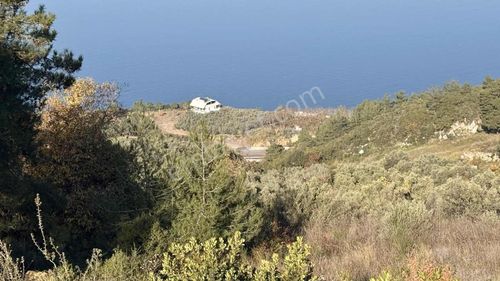 Rw Land Gayrimenkul Den Altıntaş Ta 672 M2 Satılık Zeytinlik