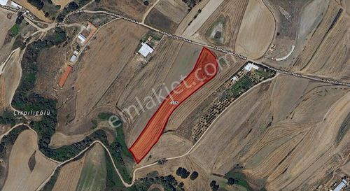 Turyap Hürriyetten Çorlu Şahpazda 16.900 M2 Satılık Tarla