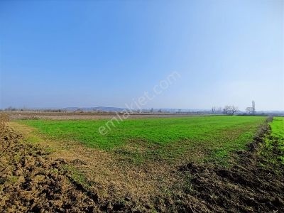 Balabancık'ta Top Sahası Gibi Dümdüz, Yolu Olan Yatırımlık Tarla