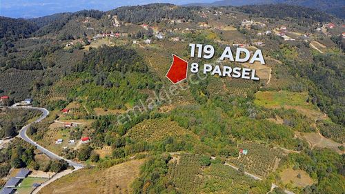 Sakarya Hendek Karadere Köy Merkezınde Satılık Fındıklık