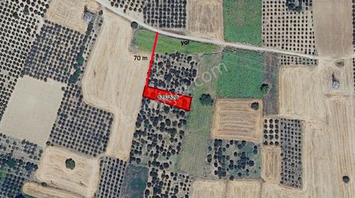 Dialog Prestij - İnegöl Şehitler 862 M² İmar Dibinde Tarla