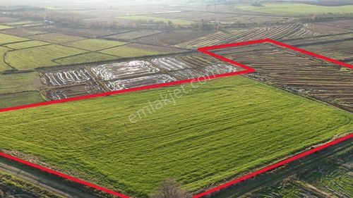 22.693 M2 Satılık Çeltik Tarlası Gönen Korudeğirmen'de