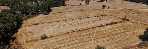 Kapaklı Karlıda Satılık Hisseli Tarla