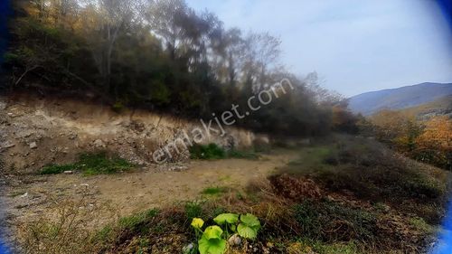 Atakum Akalan'da 3670 M2 Resmi Yola Cephe Doğa Manzaralı Tarla