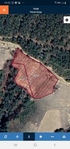 Atakum Güney De 8600 M2 İki Parsel Çevızlık