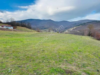 Atakum Akalanda 4.850m2 Tek Tapu Yatırımlık Doğa Manzaralı Tarla