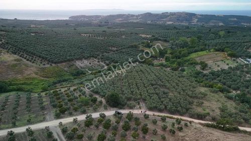 Bursa Mudanya Yalıçiftlikte Yatırımlık 14.854 M² Tarla