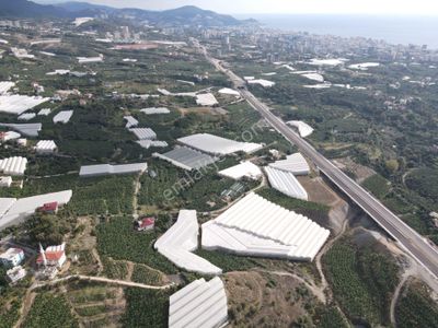 Satılık Tarla Hisse Ve Pay Satışları