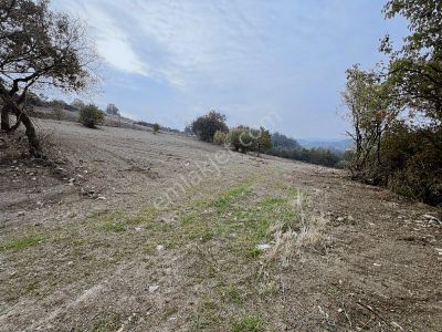 Blue Life Elit'den Yenişehir Akbıyık'da Satılık Hobi Bahçesi