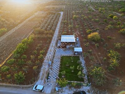Ayalp'ten Harika Bölgede Satılık Arazi.
