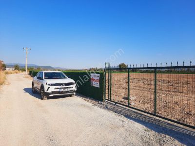 Bodrum Doğa Yaşam Kooperatif Ten 400 M² Milas Avşar Da Tarla