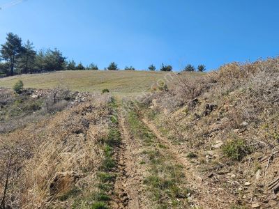 Aydın Bozdoğan Örentaht Mah. 13844m2 Satılık Tarla
