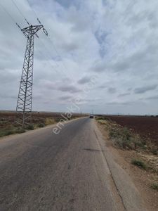 Sarıçam Göztepe Civarı Asvalt Kenarı Her Projeye Uygun Arazi