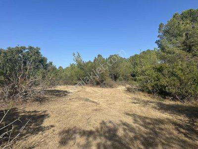 Dörtlerde Doğa Ve Orman Manzaralı 3.100m Tek Tapu Satılık Arazi