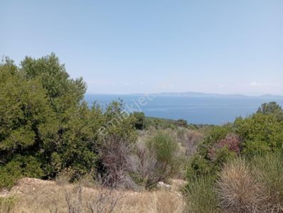 İzmir Karaburun Anbarseki'de 193 M2 Hisseli Tarla