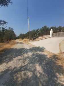 Keremköy De Hobi Bahçesi Uygun Zeytinlik