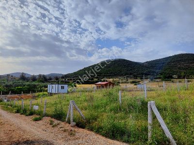 İzmir Menderes Bulgurca'da Satılık 300 M2 Hobi Bahçesi