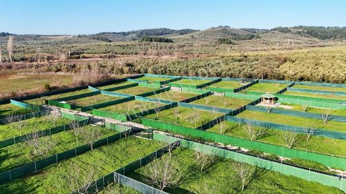Mudanya Trilye De Satılık Bahçeler