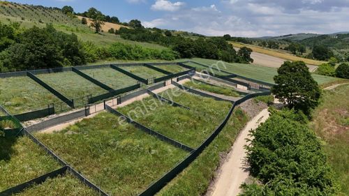 Bursa Mudanya Hançerli Hisseli Tapulu Hobi Bahçesi