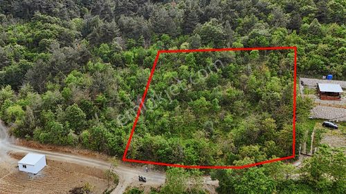 Ddoğancı Köyü Ne Yakın Satılık Arazi