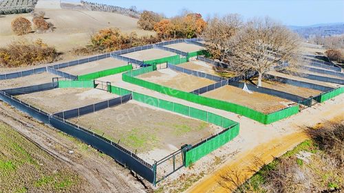 Bursa Mudanya Hançerli Hisseli Tapu Hobi Bahçesi