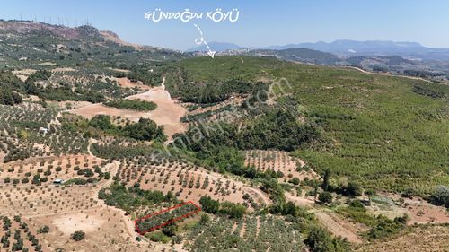 Bursa Osmangazi Gündoğdu Mah Resmi Yolu Olan Arazi