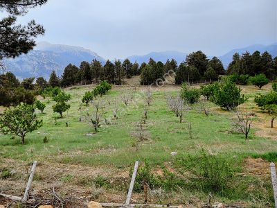 Pozantı Fındıklı'da 2.043 Metre İmar Sınırında Villalık Arazi..