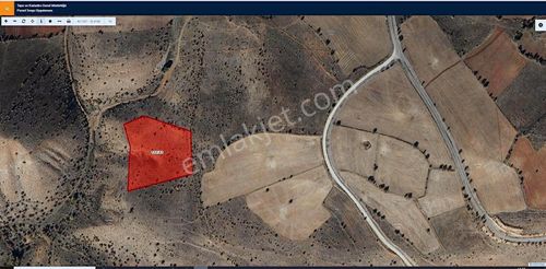 Giresun Şebinkarahisar Şahinler 9.703 M2 Tek Tapu Fırsat Mülk