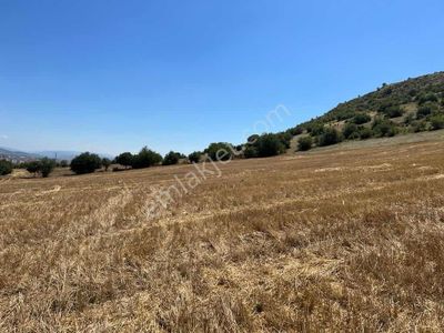 Zile Güvenevler( Yunusemre) Tek Tapu 30.500 M2 Üniversite Arkası