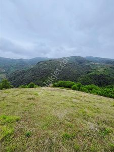 Samsun Canik Alibeyli Tek Tapu Yola Cephe Olan 4.888 M2 Satılık