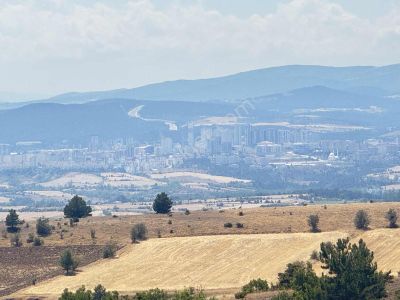 Kastamonu Merkez Kavalca 7.360 M2 Tek Tapu Mülk