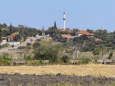 Balıkkesir Sındırgı Çakıllı 5.050 M2 Tek Tapu