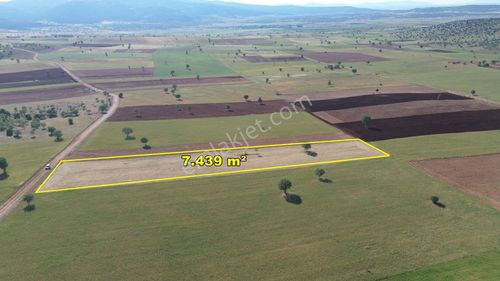 Konya / Akören / Alan 7.439 M² Müstakil Verimli Tarla