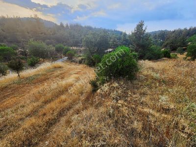 Özkan Emlaktan Aydın Bozdoğan Örentaht Ta 3564 M2 Satılık Tarla